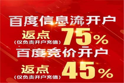 SEM代运营机构案例分析：优化策略与执行